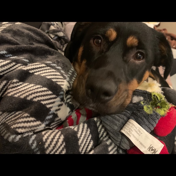 Meet your Posher, Faith - Picture 1 of 1